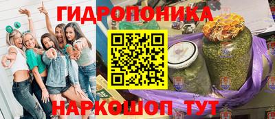 гашик Братск