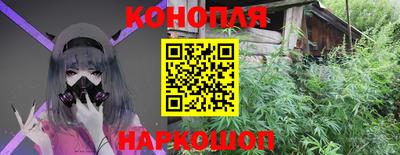 гашик Братск