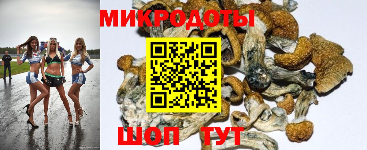 Галлюциногенные грибы ЛСД Гуково
